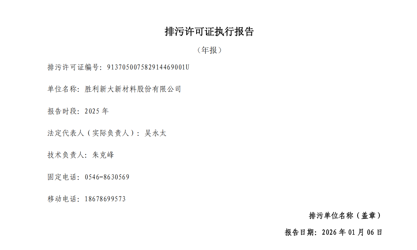 执行报告-胜利新大新材料股份有限公司-2025年